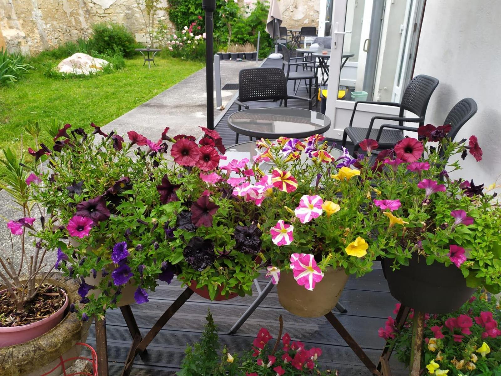 Les Bains Douches Aparthotel Perigueux Ngoại thất bức ảnh